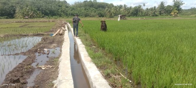 
 Ketua Kelompok Tani Menolak Dikonfirmasi Diduga Ada Penyelewengan Penggunaan Anggaran Dana APBN
