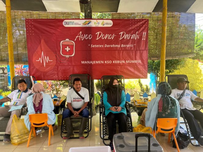 
 Perkebunan Menjadi Pilar Stok Darah!! Kebun Mumbul Berhasil Himpun Puluhan Kantong