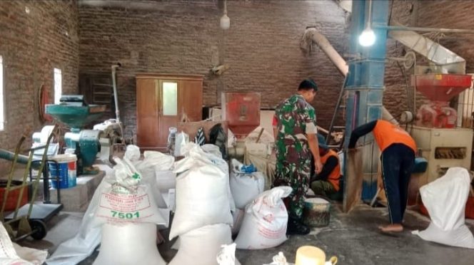 
 Babinsa Sambi Bangun Sinergi dengan Penggilingan Padi, Dukung Ketahanan Pangan