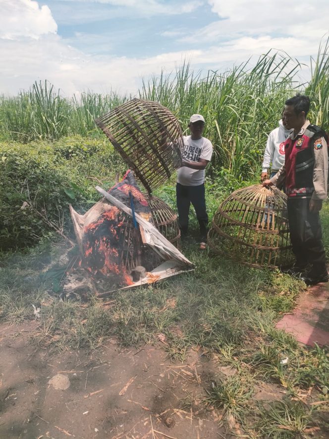 
 Beredar Isu Sabung Ayam di Jatikalang, Terkait Pemberitaan Jejakkasus.info Polsek Prambon Turun Langsung ke Lokasi yang Diduga Tempat Arena Sambung Ayam