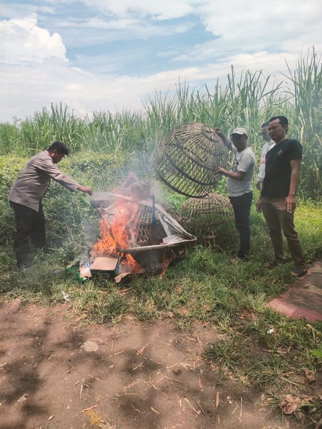 
 Dipastikan  Bahwa Tidak Aktifitas Perjudian Sabung Ayam di Daerah Jatikalang