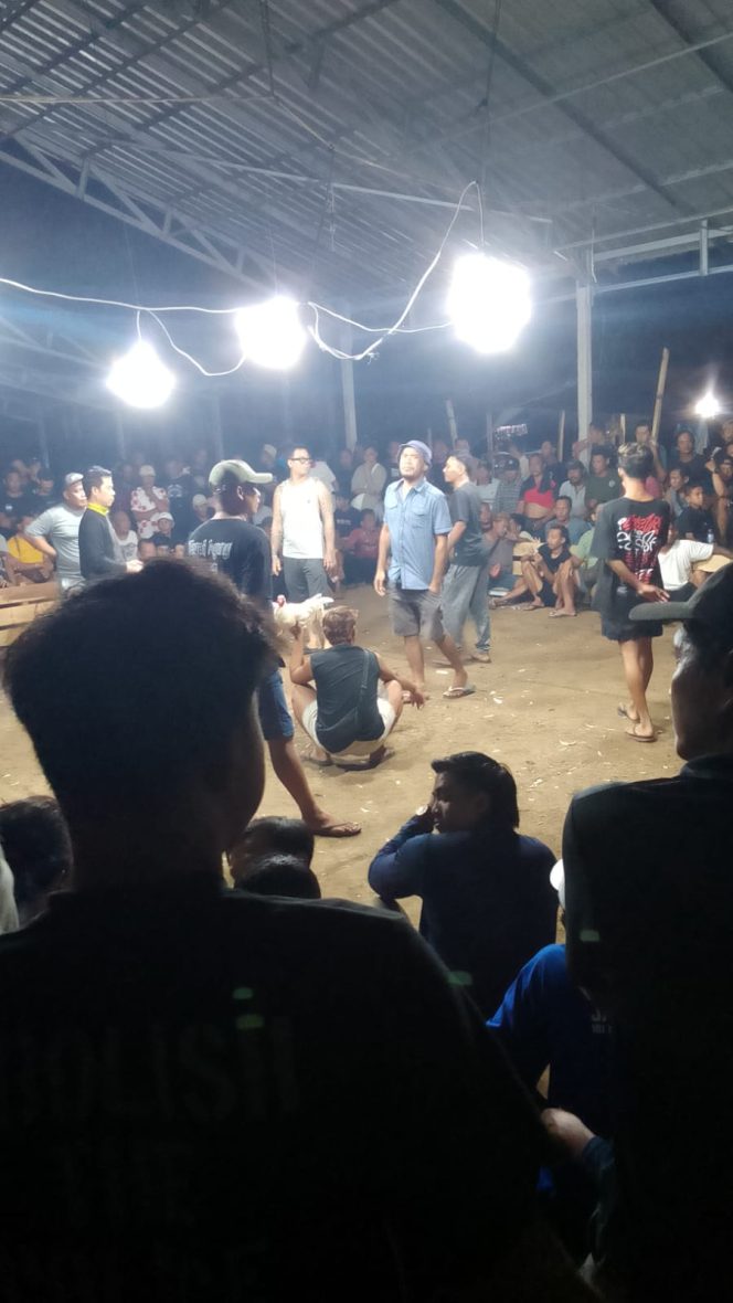 
 “Kalau Berani, Tutup Semua!” Pengurus Tajen BB Agung Tantang Media, Akui 12 Titik Judi Aman di Jembrana