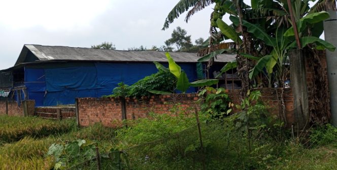 
 Kandang ayam dekat pemukiman ,,warga keluhkan bau yang menyengat