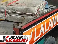 Terduga Pelaku Pembunuhan Mayat Dibungkus Kardus, Sempat Menyewa Pickup Expedisi Online Untuk Membawa Mayat.