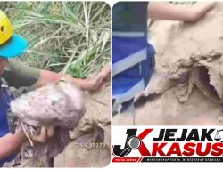 Tim Gabungan Menemukan Sejumlah Pipa Yang Diduga Menjadi Saluran Pembuangan Limbah Ke Sungai Cileungsi Kabupaten Bogor.